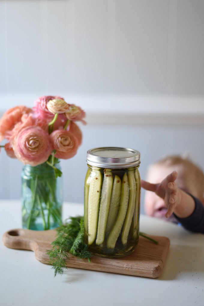 Garlic Refrigerator Dill Pickles - easy to make and no canning required!  Fun to make in the summer using farmer's market produce!  |  Feathers in Our Nest