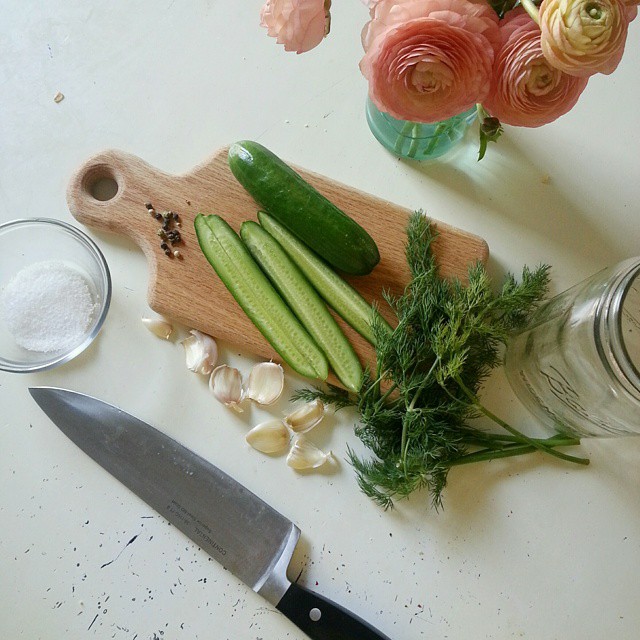Garlic Refrigerator Dill Pickles - easy to make and no canning required!  Fun to make in the summer using farmer's market produce!  |  Feathers in Our Nest