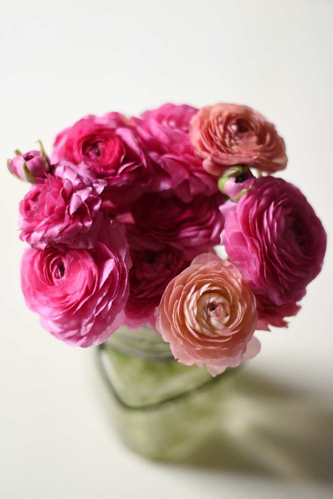 ranunculus