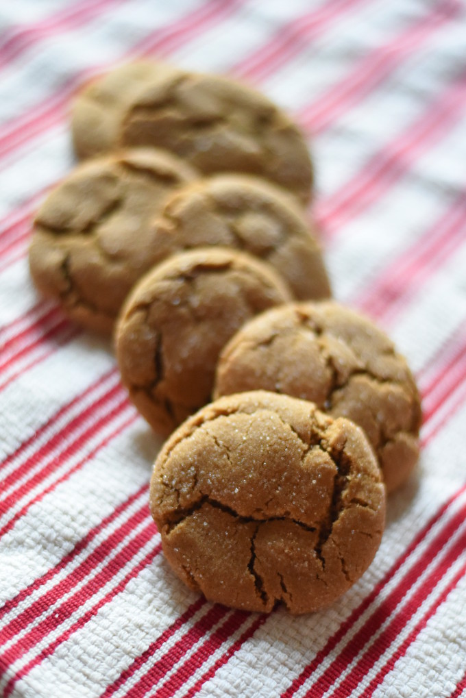 Ginger Cookies | Feathers in Our Nest