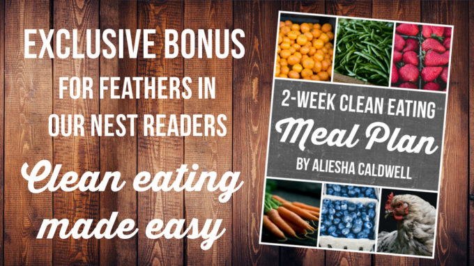 2-Week Clean Eating Meal Plan | Feathers in Our Nest