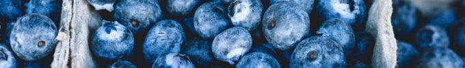 blueberriespagedivider