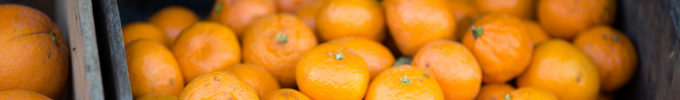 mandarinspagedivider
