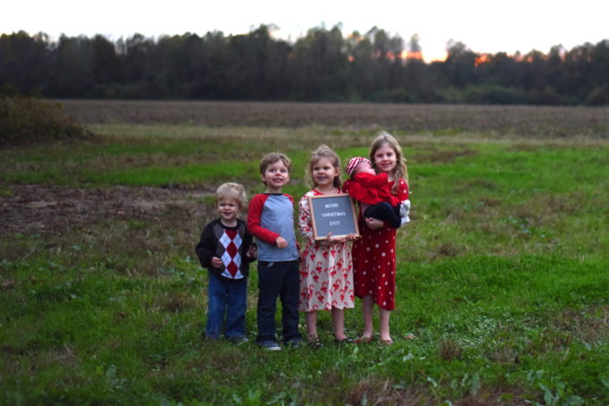 Felt Letter Board Christmas Photo | Feathers in Our Nest