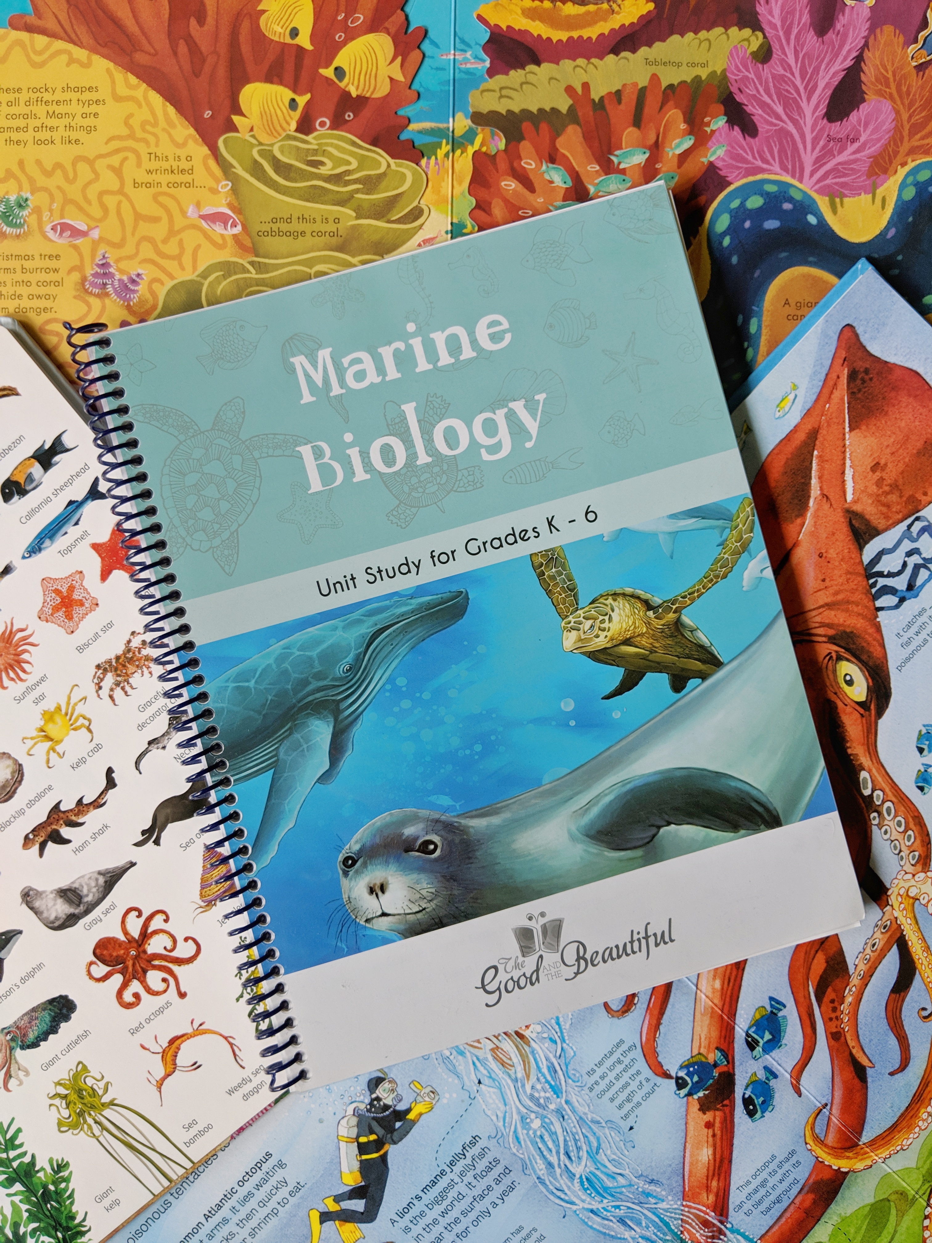 Marine Biology Unit Study Resource List | The Good and the Beautiful | Feathers in Our Nest
