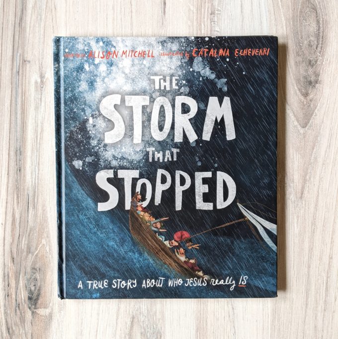 The Storm that Stopped | Gospel Centered Picture Books | Feathers in Our Nest